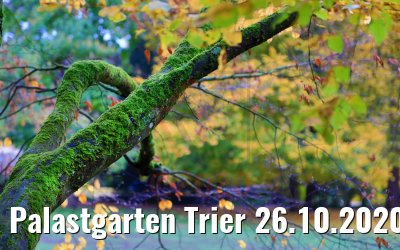 Palastgarten Trier 26.10.2020