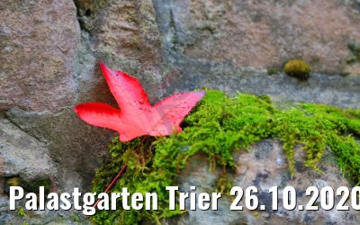 Palastgarten Trier 26.10.2020