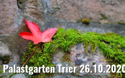 Palastgarten Trier 26.10.2020