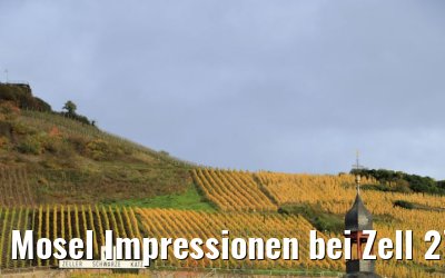 Mosel Impressionen bei Zell 27.10.2020