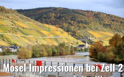 Mosel Impressionen bei Zell 27.10.2020