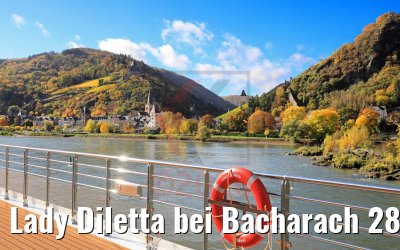 Lady Diletta bei Bacharach 28.10.2020
