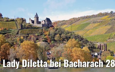 Lady Diletta bei Bacharach 28.10.2020