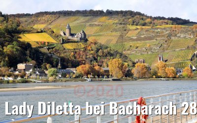Lady Diletta bei Bacharach 28.10.2020