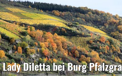 Lady Diletta bei Burg Pfalzgrafenstein 28.10.2020
