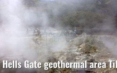 Hells Gate geothermal area Tikitere