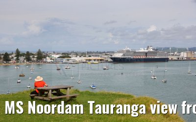 MS Noordam Tauranga view from Mount Maunganui