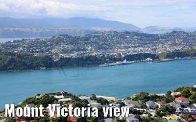 Mount Victoria view