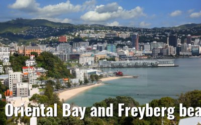 Oriental Bay and Freyberg beach view