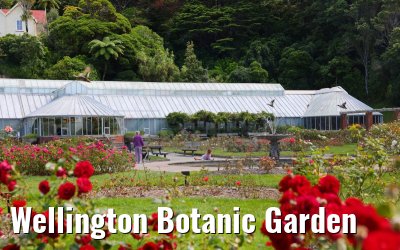 Wellington Botanic Garden