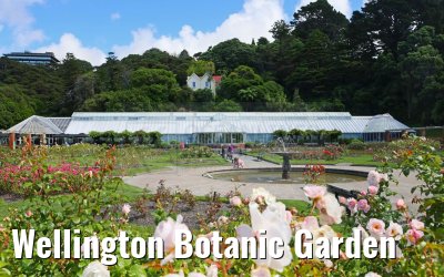 Wellington Botanic Garden