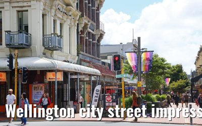 Wellington city street impressions