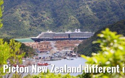 Picton New Zealand different impressions