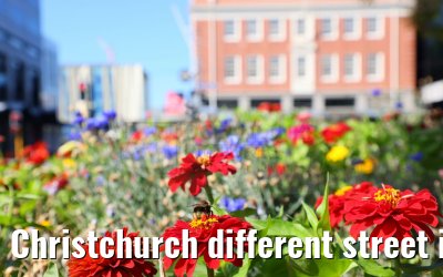 Christchurch different street impressions