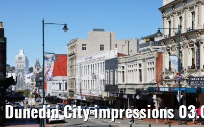 Dunedin City impressions 03.03.2023