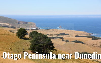 Otago Peninsula near Dunedin