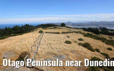 Otago Peninsula near Dunedin