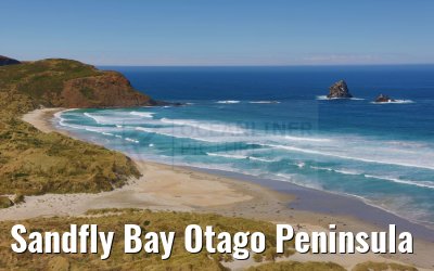 Sandfly Bay Otago Peninsula