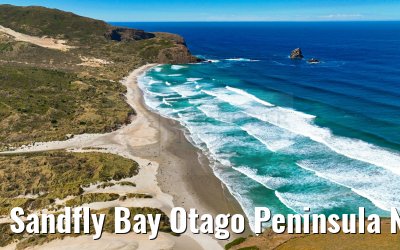 Sandfly Bay Otago Peninsula New Zealand