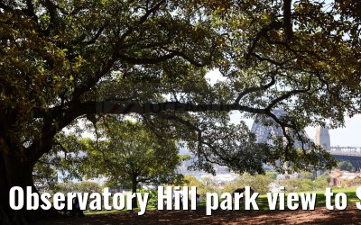 Observatory Hill park view to Sydney Harbour Bridge