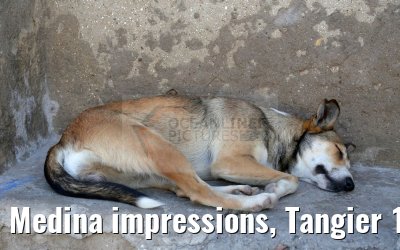 Medina impressions, Tangier 15.05.2016