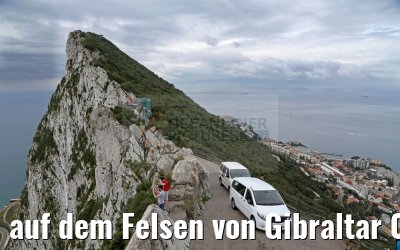 auf dem Felsen von Gibraltar 07.05.2016