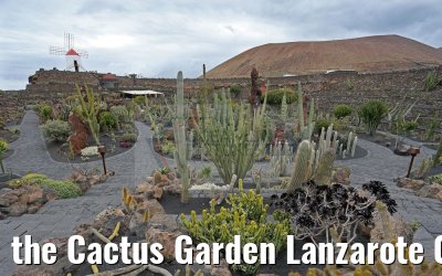 the Cactus Garden Lanzarote 09.05.2016