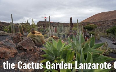 the Cactus Garden Lanzarote 09.05.2016