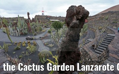 the Cactus Garden Lanzarote 09.05.2016