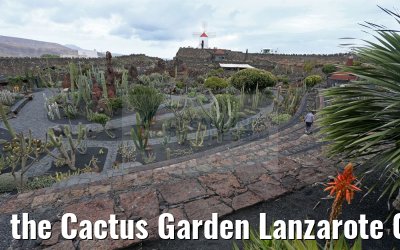 the Cactus Garden Lanzarote 09.05.2016