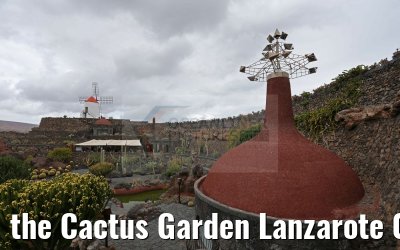the Cactus Garden Lanzarote 09.05.2016