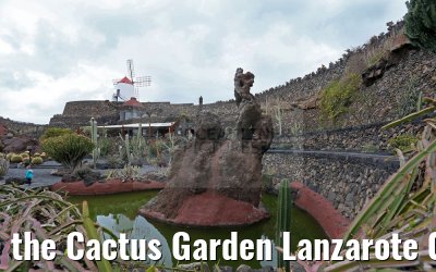 the Cactus Garden Lanzarote 09.05.2016