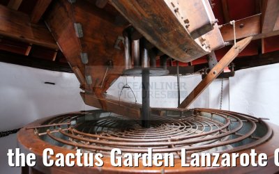 the Cactus Garden Lanzarote 09.05.2016