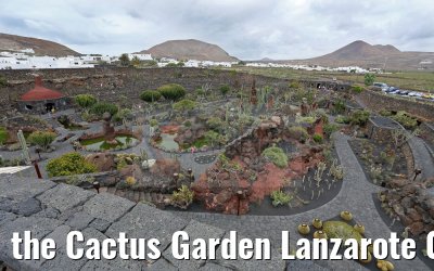 the Cactus Garden Lanzarote 09.05.2016