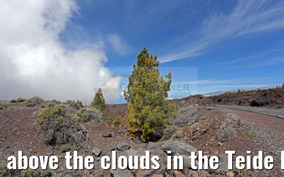above the clouds in the Teide National Park 12.05.2016