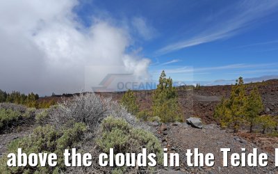 above the clouds in the Teide National Park 12.05.2016