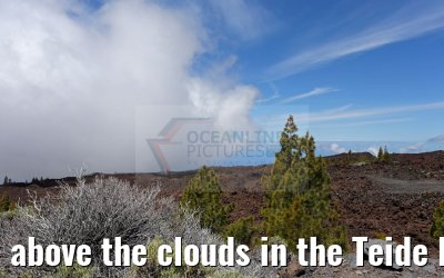 above the clouds in the Teide National Park 12.05.2016
