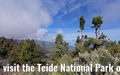 visit the Teide National Park on the island of Tenerife 12.05.2016