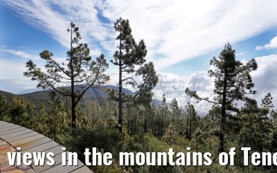 views in the mountains of Tenerife 12.05.2016