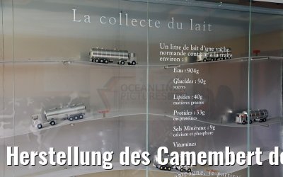 Herstellung des Camembert de Normandie