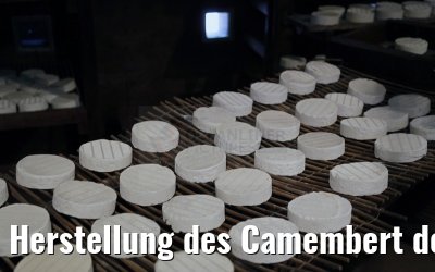 Herstellung des Camembert de Normandie