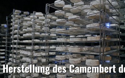 Herstellung des Camembert de Normandie