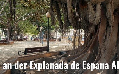 an der Explanada de Espana Alicante 25.05.2015