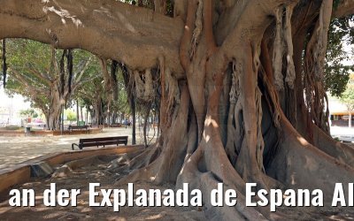 an der Explanada de Espana Alicante 25.05.2015