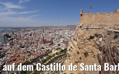 auf dem Castillo de Santa Barbara Alicante