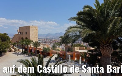 auf dem Castillo de Santa Barbara Alicante