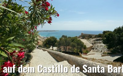 auf dem Castillo de Santa Barbara in Alicante