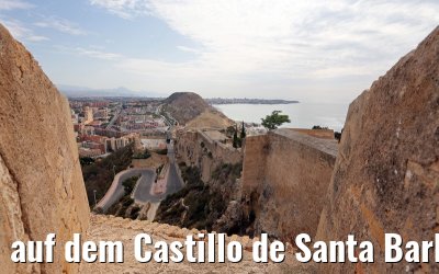 auf dem Castillo de Santa Barbara in Alicante 25.05.2015