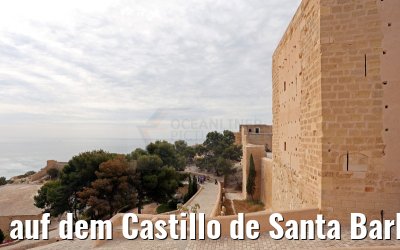 auf dem Castillo de Santa Barbara in Alicante 25.05.2015