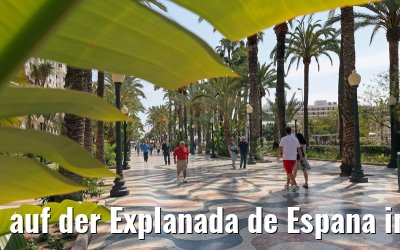 auf der Explanada de Espana in Alicante 25.05.2015
